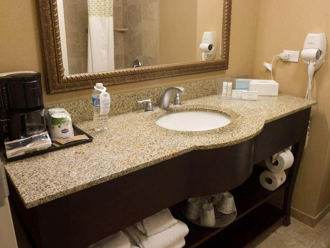 Bathroom, Hampton Inn by Hilton Ciudad Juarez, Juárez