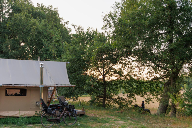 Exterior & Views, Huttopia De Meinweg, Roerdalen