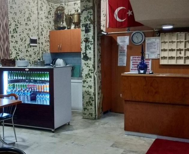 Public Area, Otel ÇINAR, Merkez