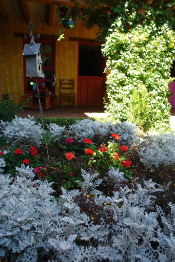 Others 4, Hotel Posada Primavera, San Cristóbal de las Casas