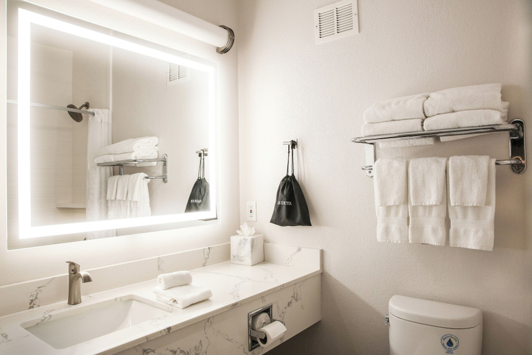 Bathroom 4, The Hanford Hotel, an Ascend Collection Hotel, Kings