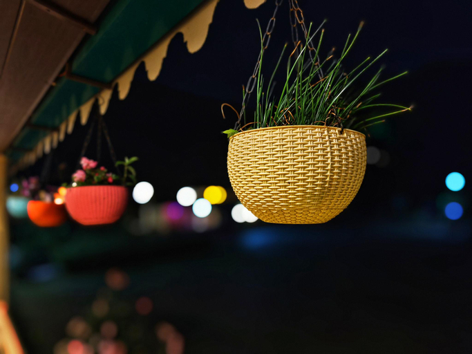 Food & Drinks 3, Silver Cloud Cottage Pangot, Nainital