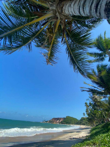 Others 4, Life Tabatinga Beach-Flat com Wi-Fi, Conde