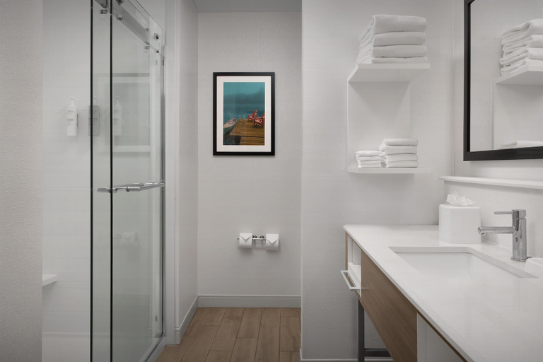 Bathroom 4, Hampton Inn & Suites Walterboro, Colleton