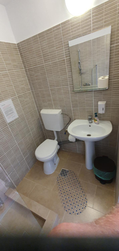Bathroom 2, Hostel Delfinul Albastru, Costinesti