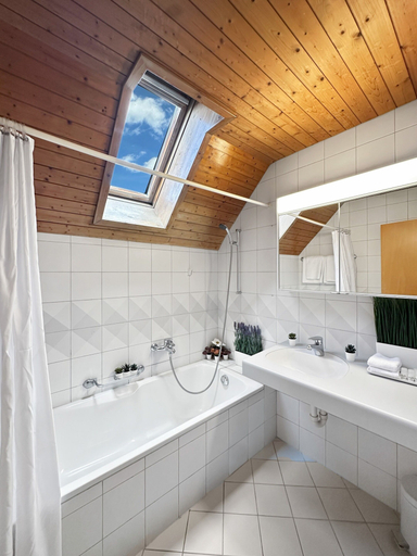 Bathroom 2, Centra Hotel Zurich, Uster