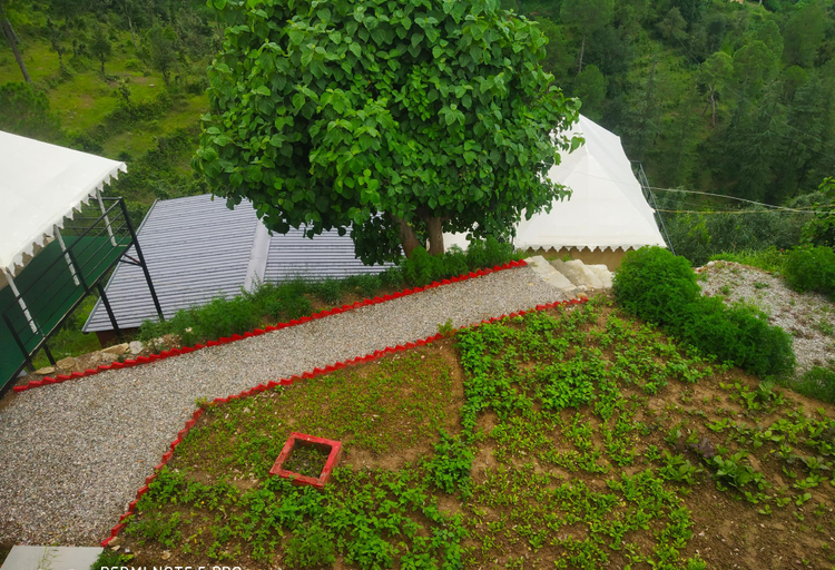 Others 4, Pine pioneer the eco resort , Nainital