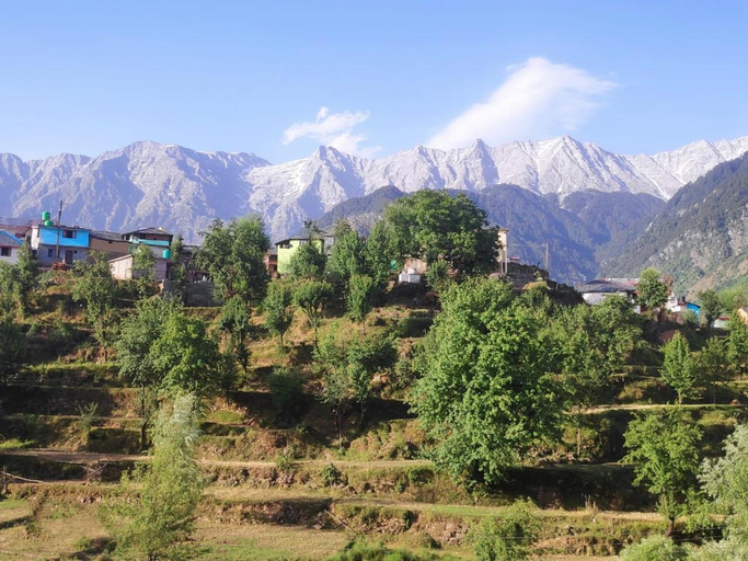 Others 4, Nirmal Homestay, Kangra