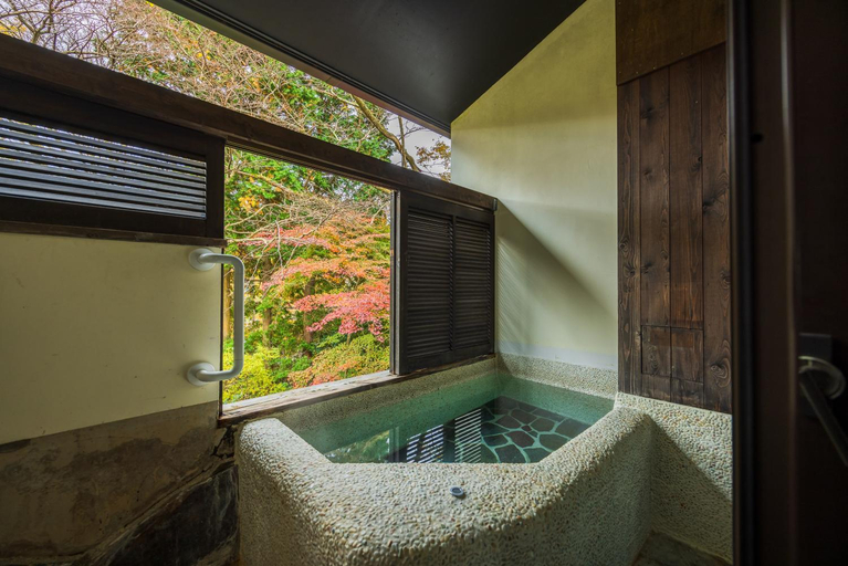 Bathroom 5, Shinanoki Ichinoyu, Hakone