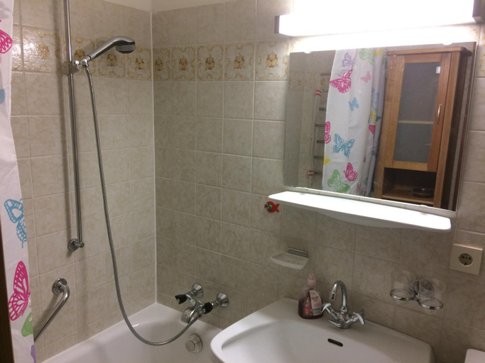 Bathroom 2, Grubhof, Zell am See