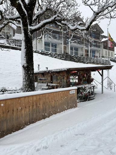 Others 5, LakeSide Villa - 18, Interlaken