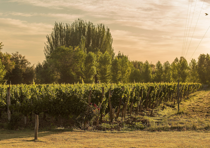 Winery 5, Postales by DOT Boutique, Tunuyán