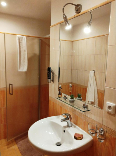 Bathroom 3, Hotel Modrin wellness v cene, Trutnov