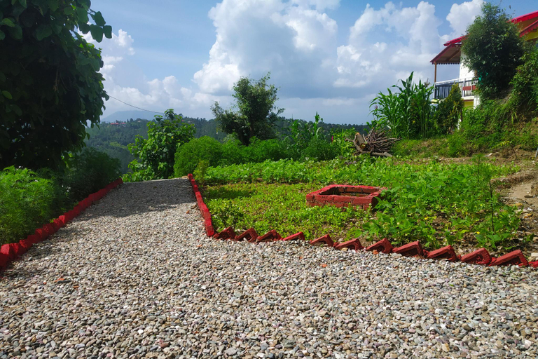Others 2, Pine pioneer the eco resort , Nainital