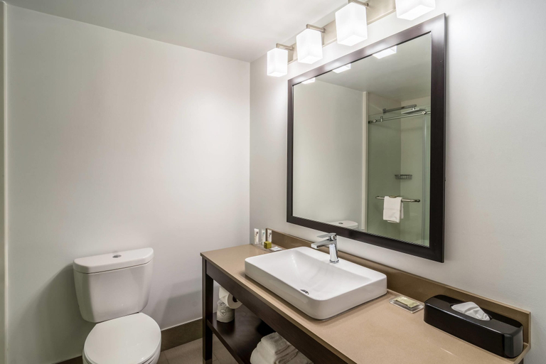 Bathroom 4, Country Inn & Suites by Radisson, Goldsboro, NC, Wayne