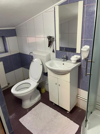 Bathroom 4, Hanul La Cetate - Cazare pentru muncitori si delegati, Slimnic