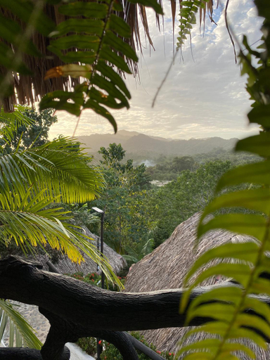 Surrounding environment 4, Quetzal Dorado Eco-Lodge, Santa Marta (Dist. Esp.)