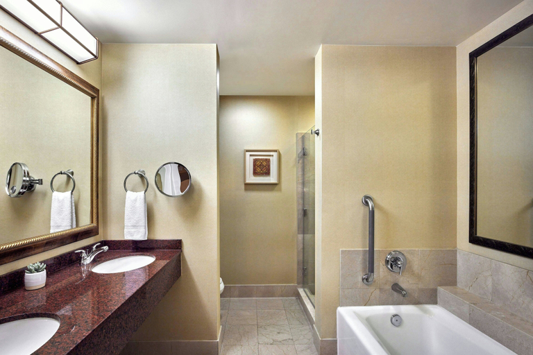 Bathroom 4, Scottsdale Marriott at McDowell Mountains, Maricopa