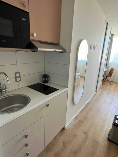 Private kitchen 5, Comfort Studio in a Premium Residence- Sport/cinema, Haut-Rhin
