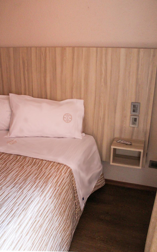 Others 4, HOTEL CONGRESO, Mexico City