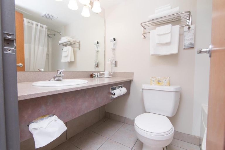 Bathroom 4, Park Town Hotel, Division No. 11