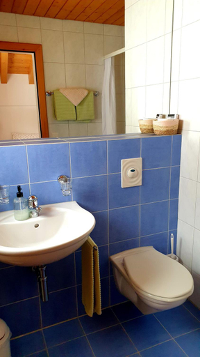 Bathroom, Gasthaus Alpenrose, Hinterrhein