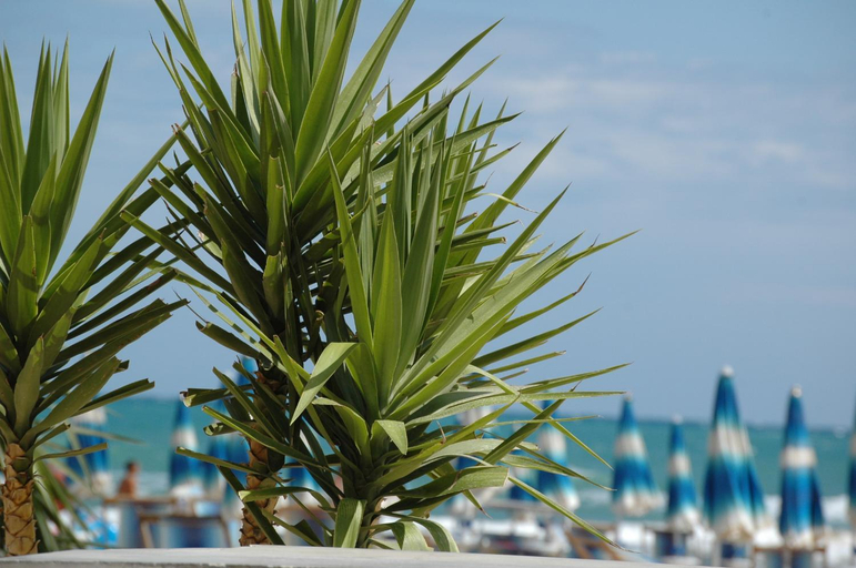 Food & Drinks 4, Baia degli Aranci Village, Foggia