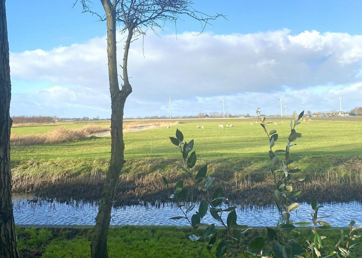View from property 2, Holiday Home in Burgerbrug for Family, Zijpe