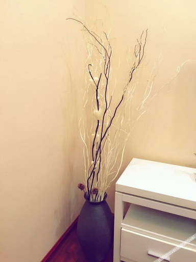 Others 4, Baoyu Tea House Guesthouse, Nanping