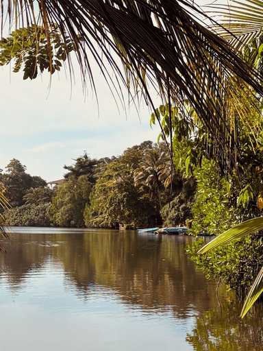 Exterior 5, Jungle Breeze, Habaraduwa