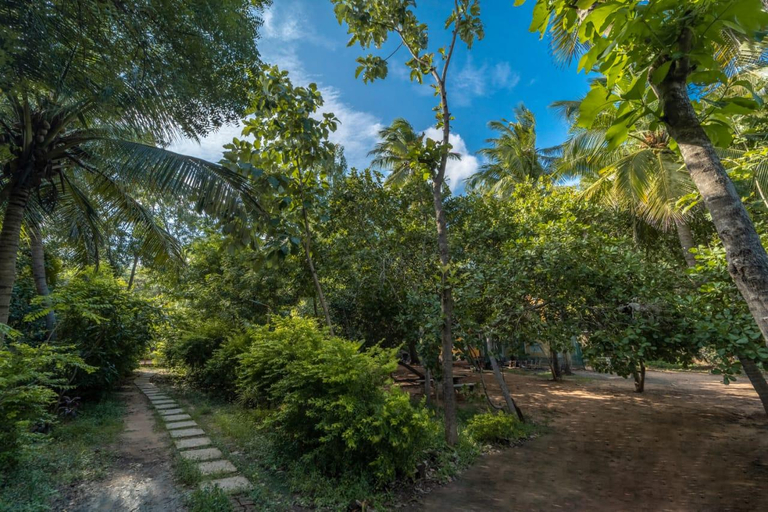 Others, Aashikha Farm House, Viluppuram