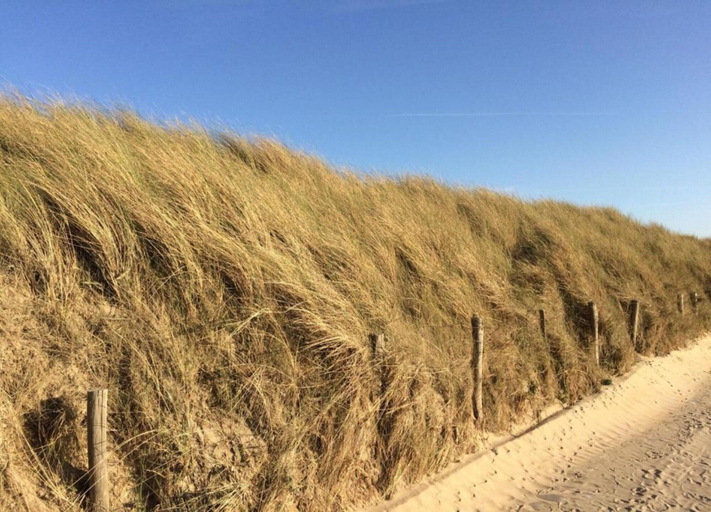 View from property 3, Apartment in Wenduine With Stunning Sea Views, West-Vlaanderen