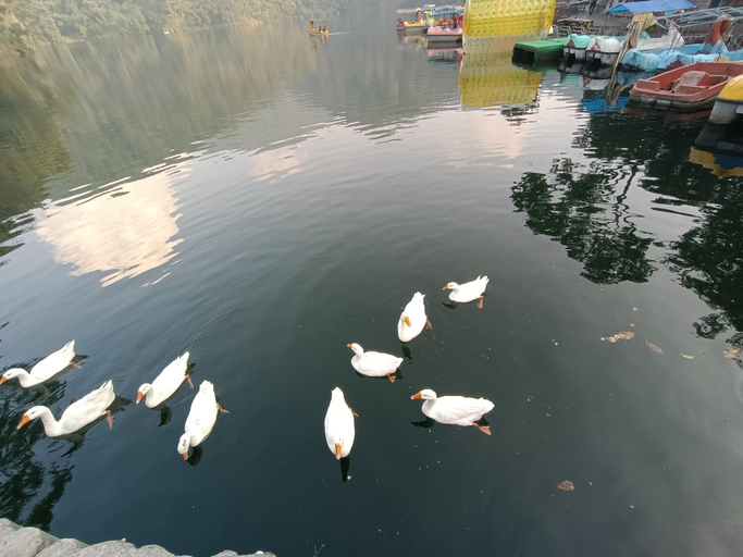 Others 5, Bhimtal Bliss Hotel, Nainital