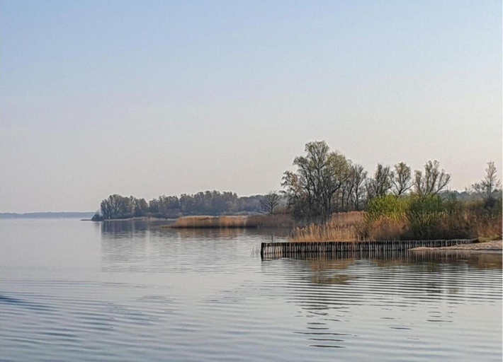 View from property 2, Ferienhaus im Skandinavischen Stil, Mecklenburgische Seenplatte