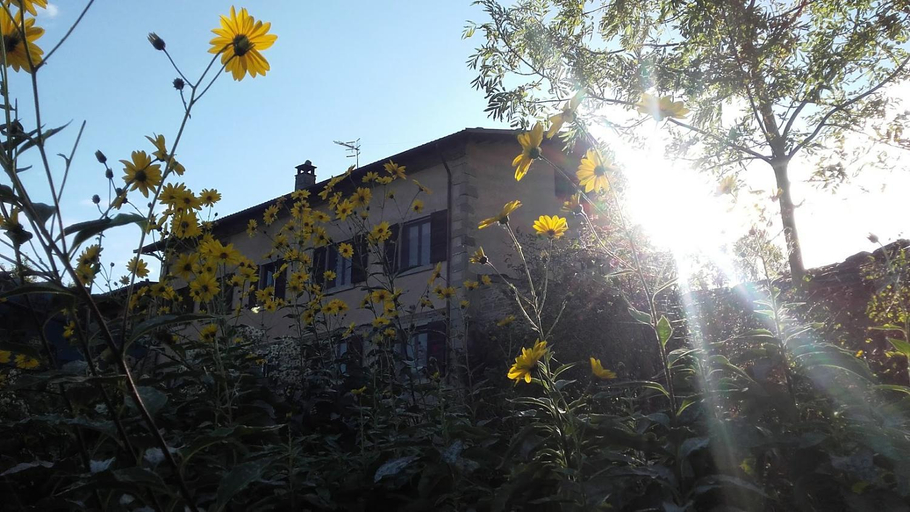 Others 3, Fattoria La Guedrara, Modena