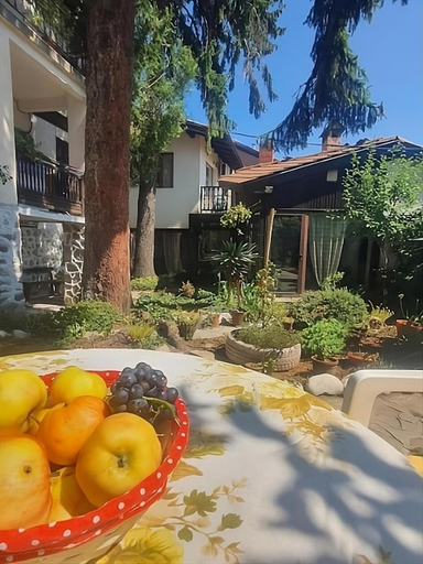 Others 5, Dvata Smurcha Central Apartments - Free Parking, Bansko