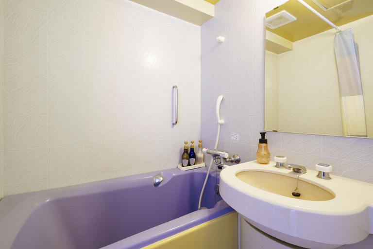 Bathroom 4, Hakuba Gateway Hotel, Hakuba