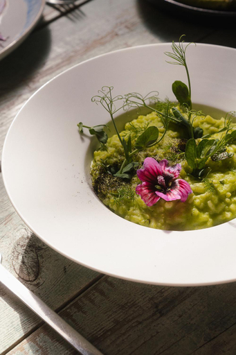 Food & Drinks 4, Noah Surf House Portugal, Torres Vedras