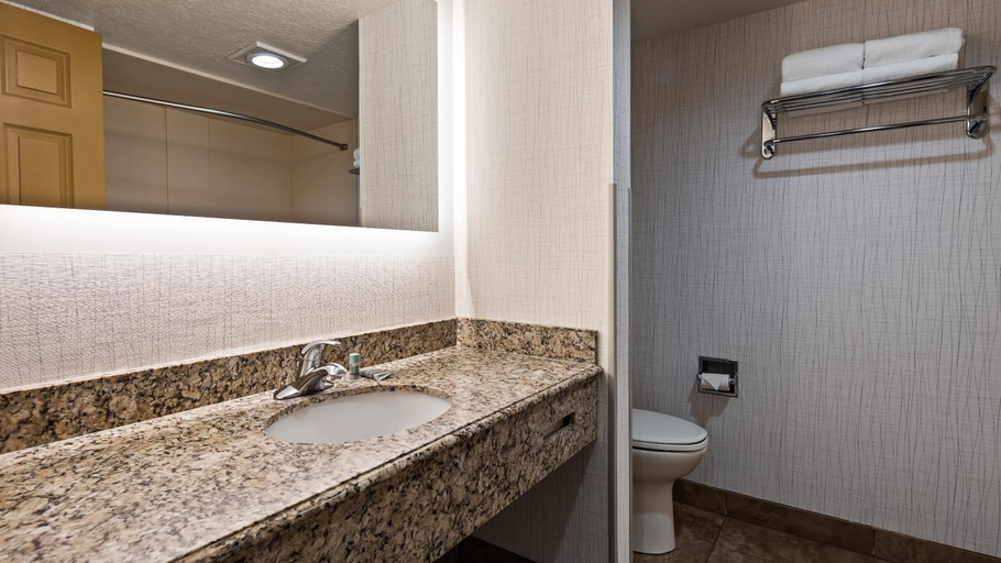 Bathroom 5, Abbey Inn Cedar City, Iron