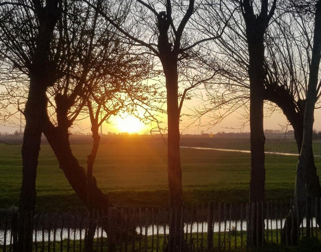 View from property 2, Pretty Holiday Home in Burgerburg, Zijpe