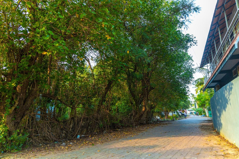 Others 5, BrightMoon_Homestay, Viluppuram