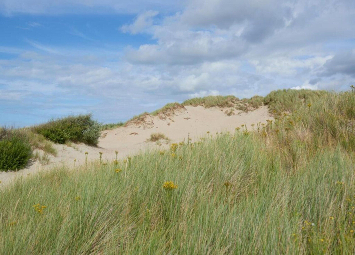 View from property 4, Apartment in Wenduine Near the Beach, West-Vlaanderen