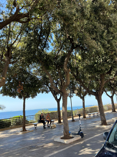 Others 3, Sogno di puglia, Taranto