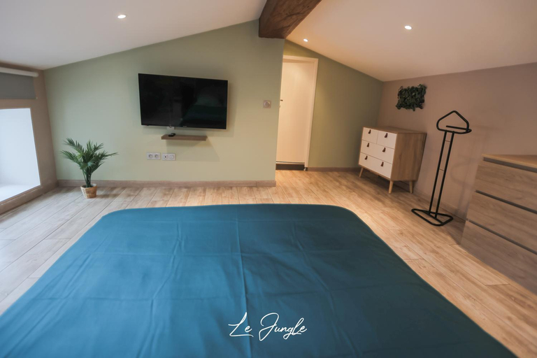Others 5, LE JUNGLE 5 etoiles / Netflix et services, Loire