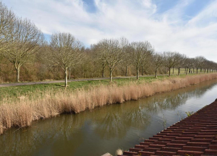 View from property 5, Bungalow in South Holland by the Water, Bernisse
