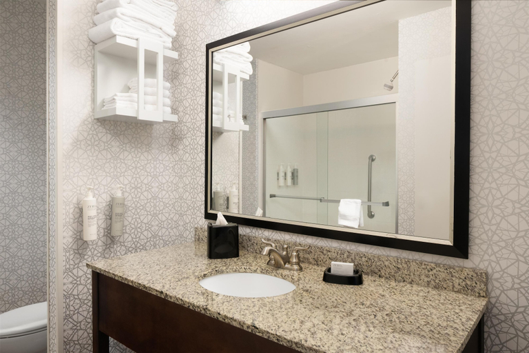 Bathroom 4, Hampton Inn Fairmont, Marion