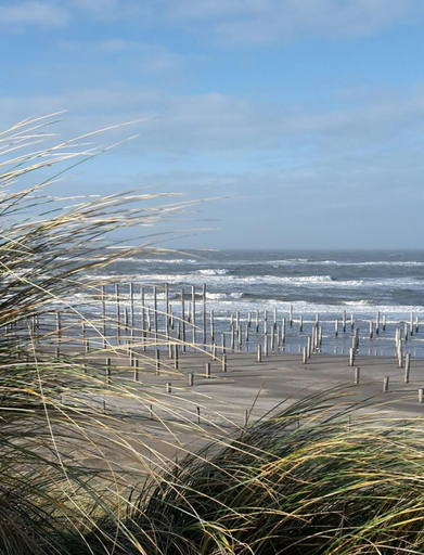 View from property 4, Modern Bungalow Close to Beach With Views, Zijpe