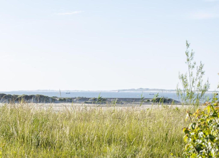 View from property 2, Villa in Breskens Near the Beach, Sluis