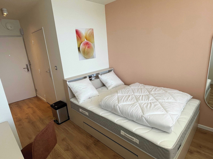 Room 3, Comfort Studio in a Premium Residence- Sport/cinema, Haut-Rhin
