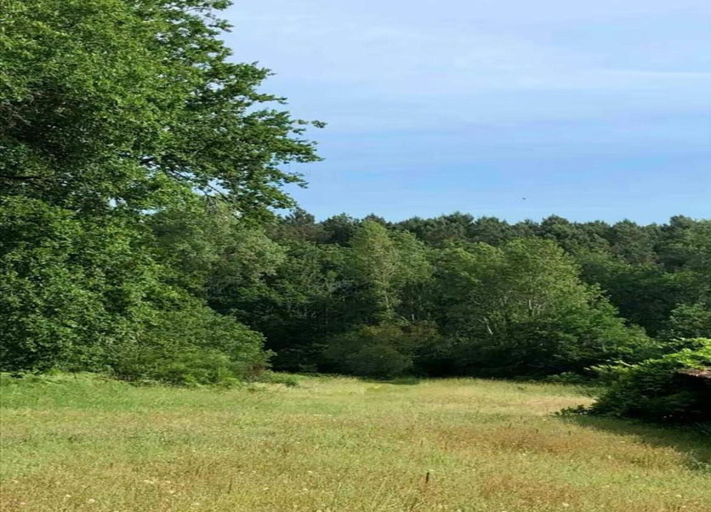 View from property 3, Oakwood Hideaway Stay, Lot-et-Garonne